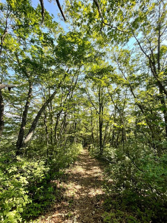Bears Den Mountain Lodge Hakuba Ngoại thất bức ảnh