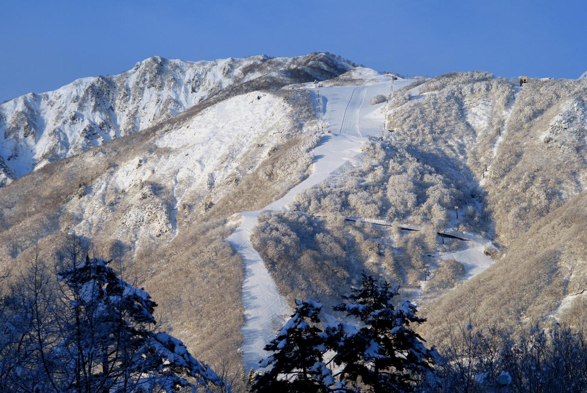 Bears Den Mountain Lodge Hakuba Ngoại thất bức ảnh